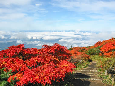 蔵王の紅葉