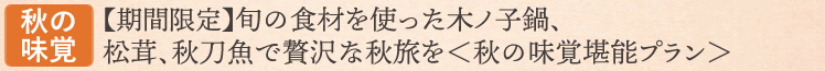 宿泊プラン